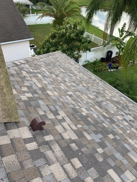 Slide of Roof Nation