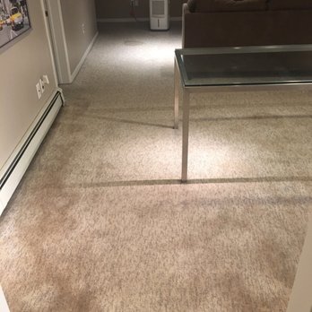 Absolute Carpet & Upholstery Cleaning - Before carpets with water, wear and pet stains. - Carpet Cleaning Near Me - East Patchogue, New York