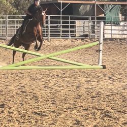 Equestrian Games Riding Academy