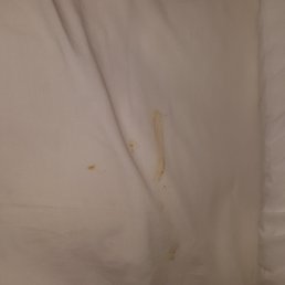 We found feces in the sheets and brown streaks/stains from feces on our hotel sheets