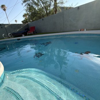 Buen Diaz Cool Decking & Plastering - Back yard pool after picture. - Pool & Hot Tub Service Near Me - Tucson, Arizona