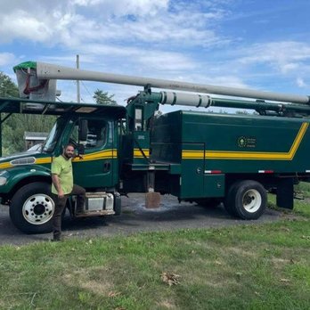 LaBier Brothers Tree Experts - Tree Services Near Me - Ware, Massachusetts LaBier Brothers Tree Experts - Tree Services Near Me - Ware, Massachusetts