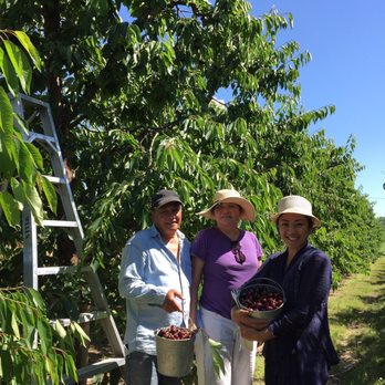 Wells Orchards - three people standing in an orchard - Fruits & Veggies Near Me - Grand Rapids, Michigan Wells Orchards - three people standing in an orchard - Fruits & Veggies Near Me - Grand Rapids, Michigan