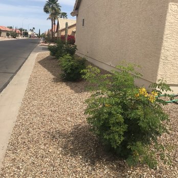 Moon Valley Nurseries - Nurseries & Gardening Near Me - Chandler, Arizona