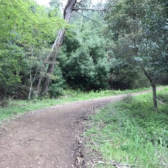 Seaview Trail At Inspiration Point - So green! - Hiking Near Me - Berkeley, California Seaview Trail At Inspiration Point - So green! - Hiking Near Me - Berkeley, California