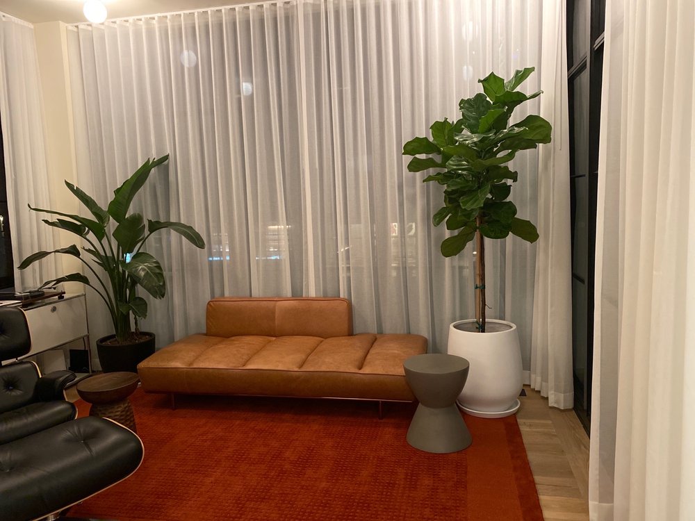 PLANTS DELIVERED CHICAGO Updated September 2024 1711 S Halsted