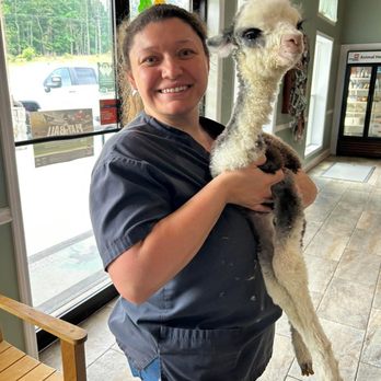 Wilkes County Veterinary Services - Veterinarians Near Me - Washington, Georgia