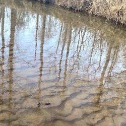 Mordecai Johnson Memorial Park - Jones Bend creek