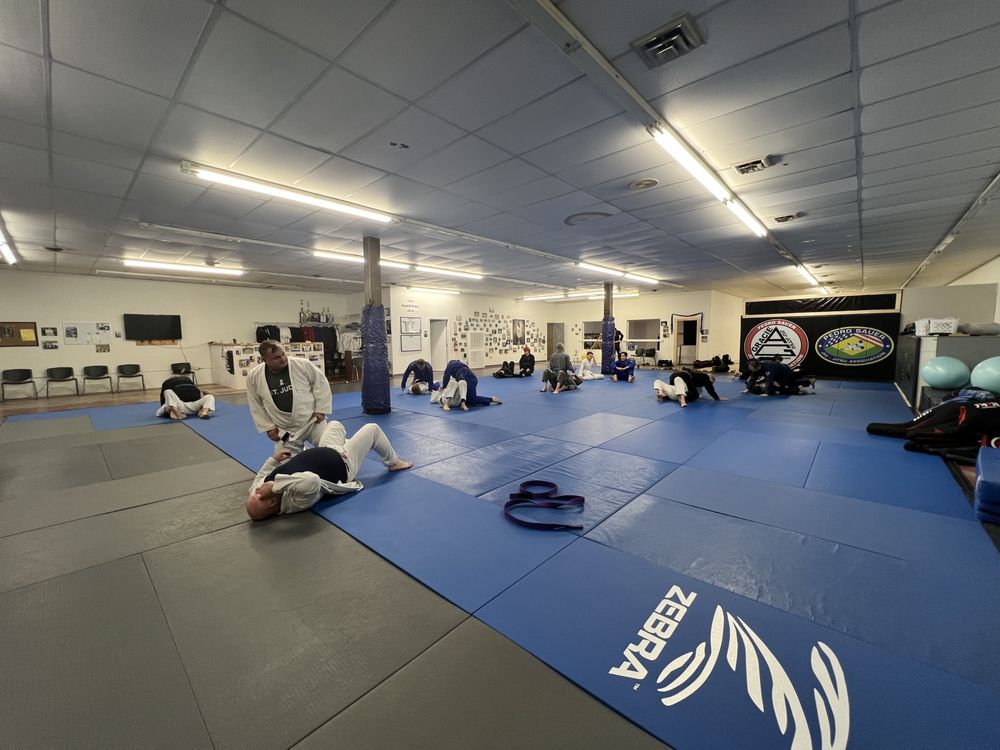 Mad Science Judo and Jiu-Jitsu Logo
