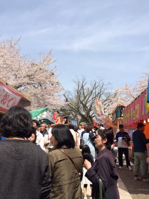 Hakodate Park by null