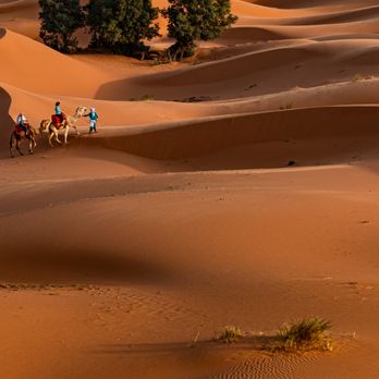 Biotrek Adventure Travels - Travel Services Near Me Biotrek Adventure Travels - Travel Services Near Me