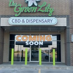 The Green Lily - Open Open Open!  Now open!!  Open Open Open!
