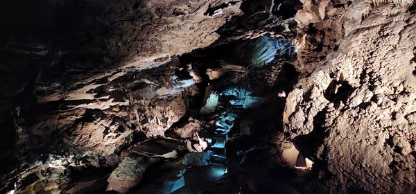 Oregon Caves National Monument & Preserve by null
