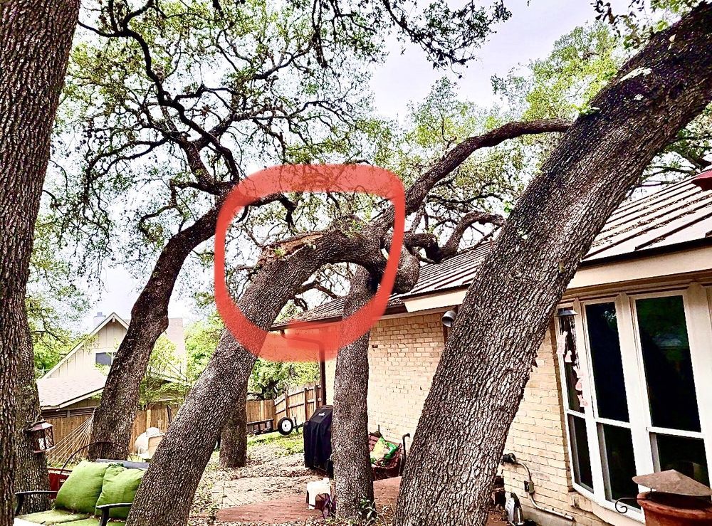 Simon Does - tree service in Live Oak, TX