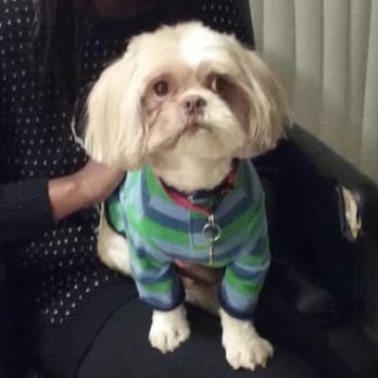 Petco - Pet Stores Near Me - Palmdale, California