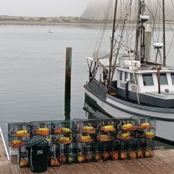 Morro Bay Sandpiper Inn - Crab pots at Morro Bay