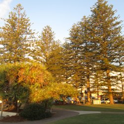 Apex Park - Park