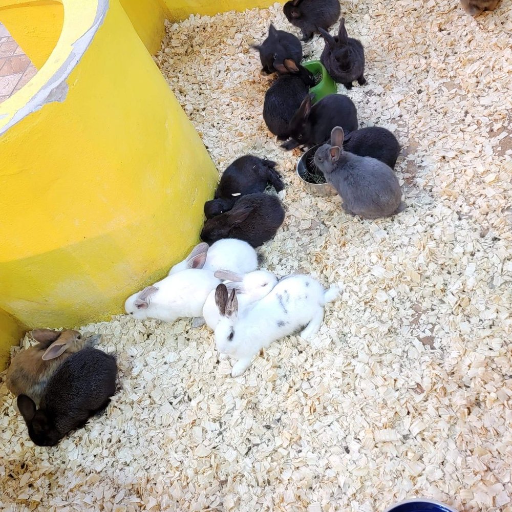 Exotic Tropical Pet World - Local Fish Stores Near Me - McAllen, Texas Exotic Tropical Pet World - Local Fish Stores Near Me - McAllen, Texas