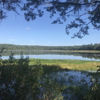 Alfred B  Maclay Gardens State Park - Parks Near Me - Tallahassee, Florida