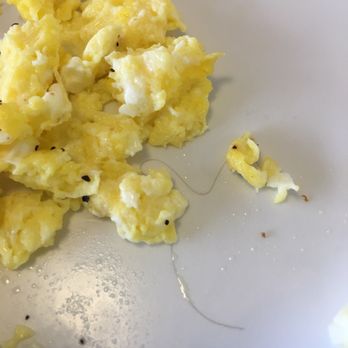 Burger Basket - This picture is of my breakfast plate. It came with a long dark HAIR!! - Burgers Near Me - Norwalk, California