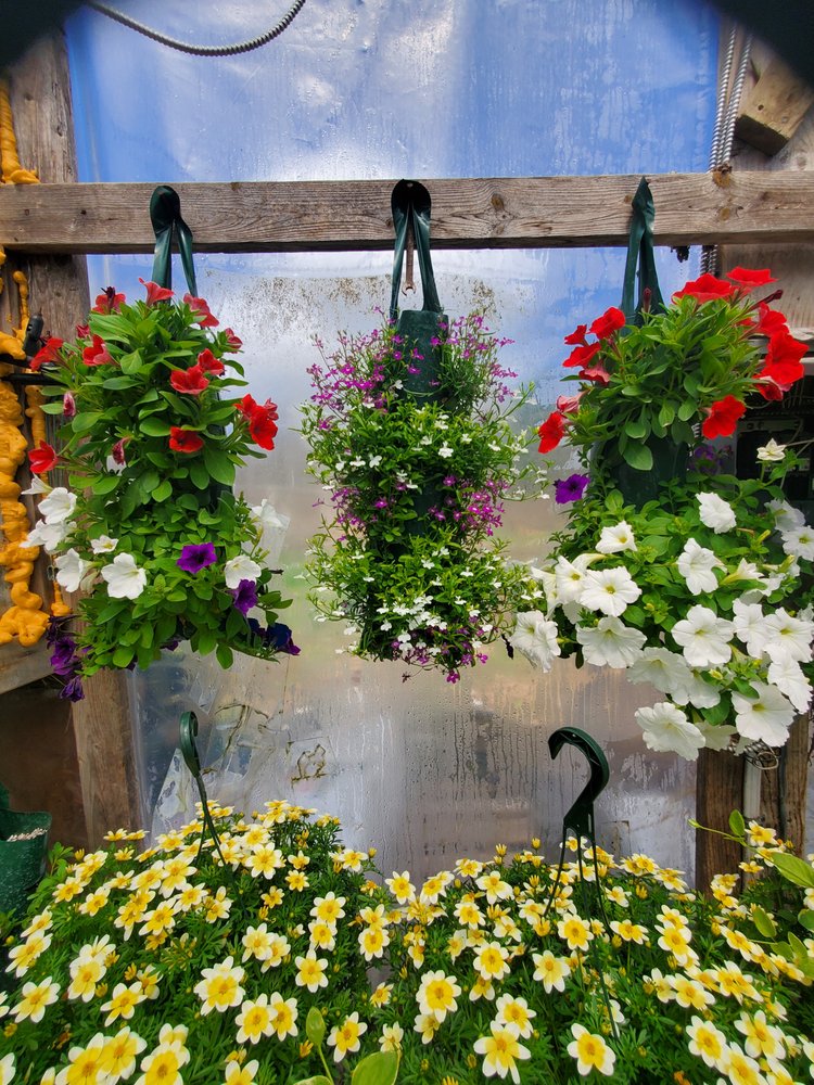 Knecht Greenhouses - beekeeping in Covington Twp, PA