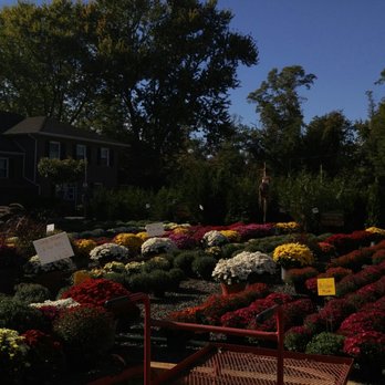 Countryview Farm Nursery Nurseries Gardening 599 Buckelew Countryview Farm Nursery Nurseries