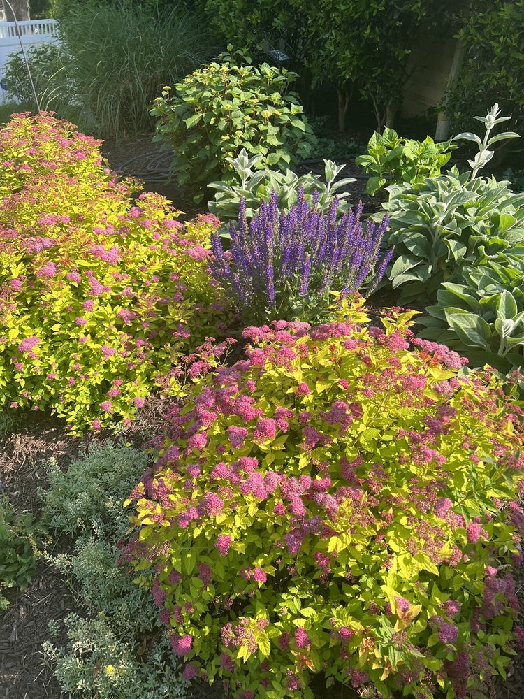 Annapolis Landscaping Maintenance - tree service in Annapolis, MD