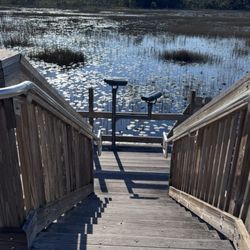 Grassy Waters Everglades Preserve - The Boardwalk