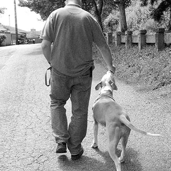 One Dog At A Time - Walk and Train service for reactive dogs - Pet Training Near Me One Dog At A Time - Walk and Train service for reactive dogs - Pet Training Near Me