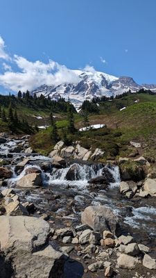 Myrtle Falls by null