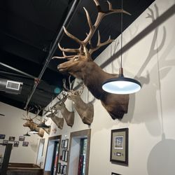 Midway Bar-B-Que - Decor