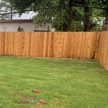 Delta Sod - a backyard with a wooden fence - Landscaping Near Me - New Orleans, Louisiana Delta Sod - a backyard with a wooden fence - Landscaping Near Me - New Orleans, Louisiana