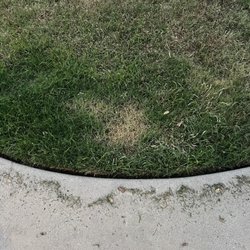 TruGreen Lawn Care