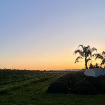Great Bear Vineyards - Wine Tasting Room Near Me - Davis, California