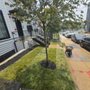 Photo of Metallurgy Landscaping