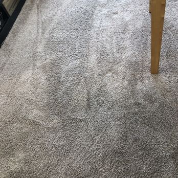 Zerorez Dallas - Dark stains completely removed. - Carpet Cleaning Near Me - Carrolton, Texas Zerorez Dallas - Dark stains completely removed. - Carpet Cleaning Near Me - Carrolton, Texas