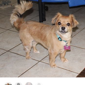 Riverside Pup Paradise - Great commentary on her stay - Pet Boarding Near Me - Fresno, California Riverside Pup Paradise - Great commentary on her stay - Pet Boarding Near Me - Fresno, California