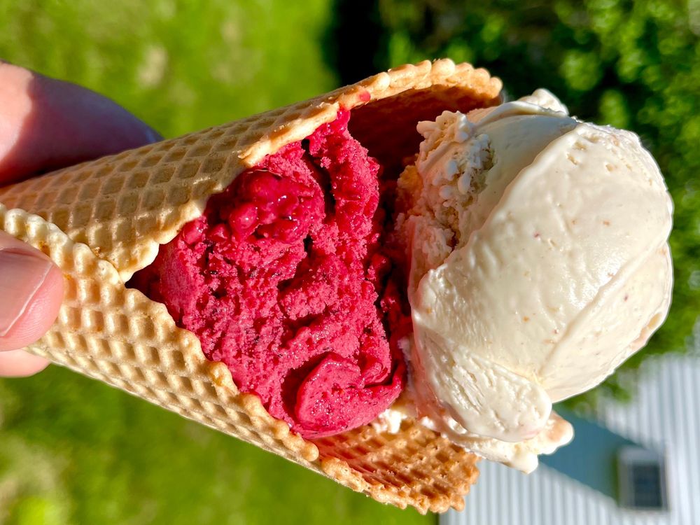 DOM’S CREAMERY - 36 Photos & 11 Reviews - Ice Cream & Frozen Yogurt ...