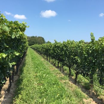 Hidden Bench Estate Winery - Great views and very informative staff. Very enjoyable time. - Wineries Near Me - Beamsville, Ontario