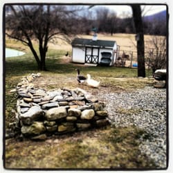 Inn At Stony Creek - Setting in the back.... Beautiful!!!!!