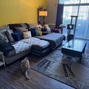 Seleni Cleaning Services - Home Cleaning Near Me Seleni Cleaning Services - Home Cleaning Near Me