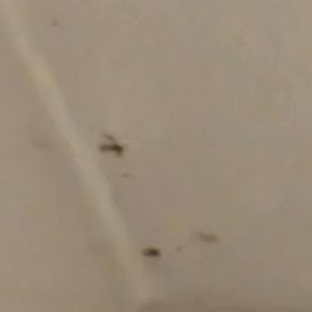 Fairfield by Marriott Inn & Suites Uncasville Mohegan Sun Area - MOLD - Hotels Near Me - Uncasville, Connecticut Fairfield by Marriott Inn & Suites Uncasville Mohegan Sun Area - MOLD - Hotels Near Me - Uncasville, Connecticut