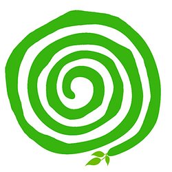 Spiral Herbal Remedies - Our logo. The spiral is carved into the stones of 3000BC yo passage tombs in Ireland, likely sites of shamanic ceremonies.