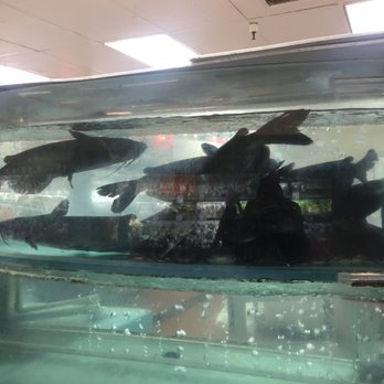 99 Ranch Market - Seafood Markets Near Me - Arcadia, California