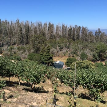 Clearview Orchards - Farmers Market Near Me - Watsonville, California
