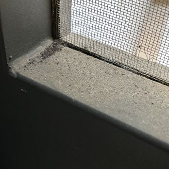 Best Western - Hotel ArtDeco - Dirty patio screen door screen also ripped. - Hotels Near Me - Rome, RM