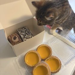 Egg tarts were delicious