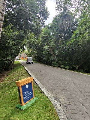 Bahia Principe Grand Tulum by null