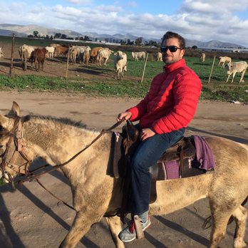 Desert Trails - Horseback Riding Near Me - Ensenada, BCN
