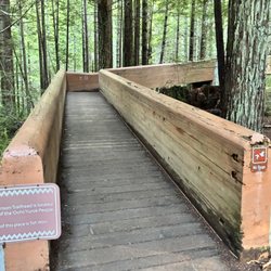 Lady Bird Johnson Grove - pedestrian bridge
